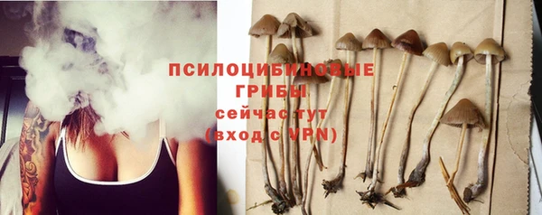 стафф Медвежьегорск