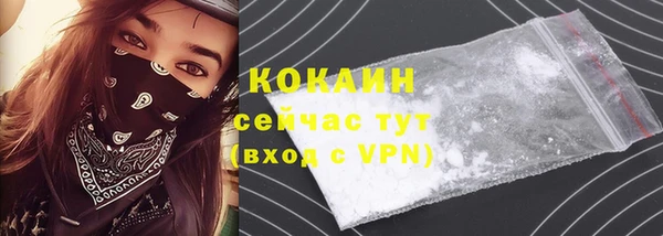 шишки Мегион