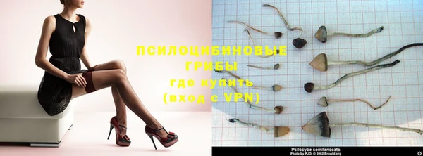 шишки Мегион
