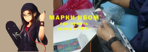шишки Мегион