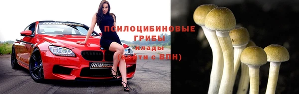 стафф Медвежьегорск