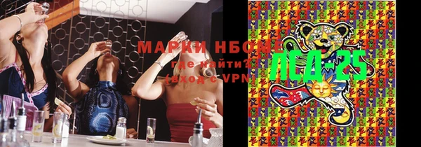 шишки Мегион