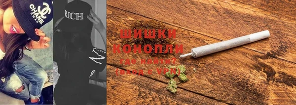 шишки Мегион