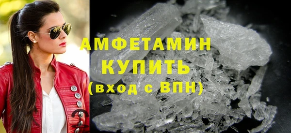 шишки Мегион