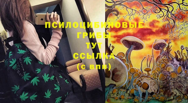 стафф Медвежьегорск